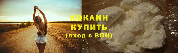 PSILOCYBIN Аркадак