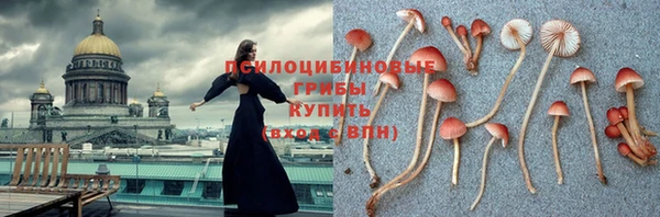 тгк Армянск