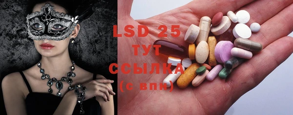 PSILOCYBIN Аркадак