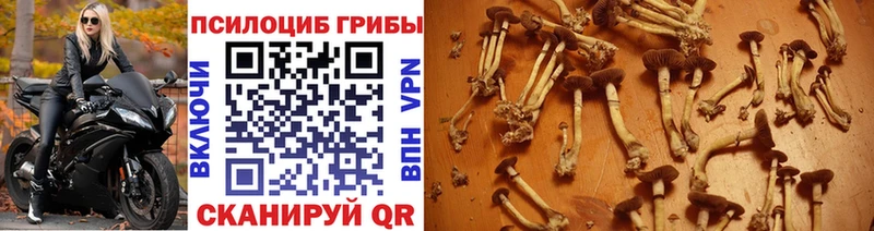 Галлюциногенные грибы мухоморы  Межгорье 
